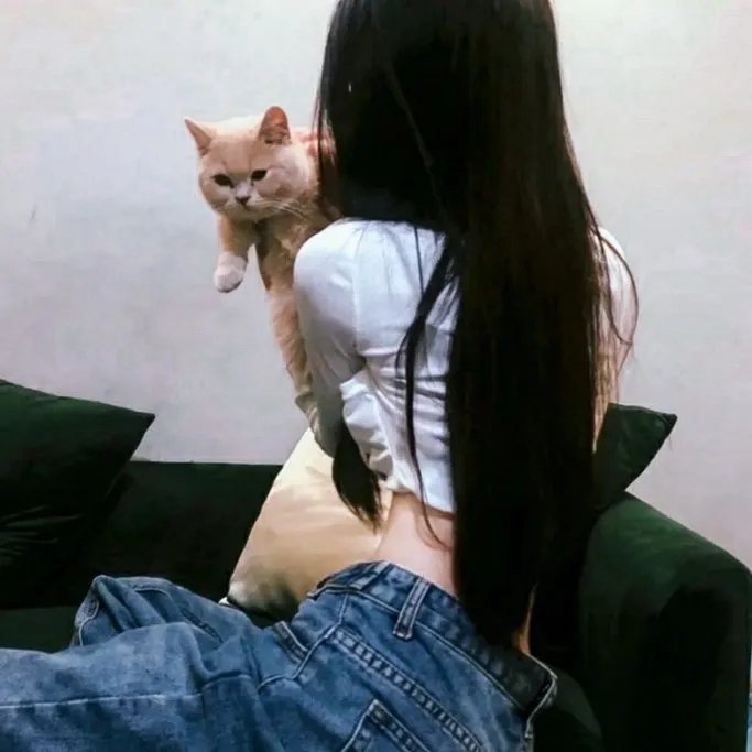 戴洛奇小镇第一季